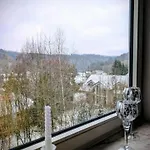 Daire Basislager Rheinsteig Bad Honningen